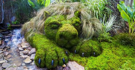 13 Facts About Moss That Are Actually Really Interesting