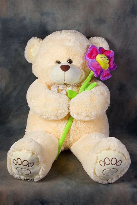 Teddy Bear With Flower Stock Image Image Of Full Baby 9557531