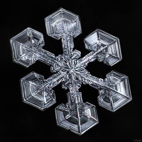 Snowflake A Day 44 Snowflakes Snow Crystal Crystals