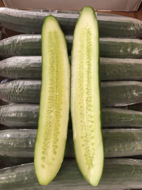 English Cucumbers C And L Produce