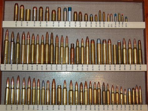 Ammo And Gun Collector Some Nice Ammo Collections Pictures Guns