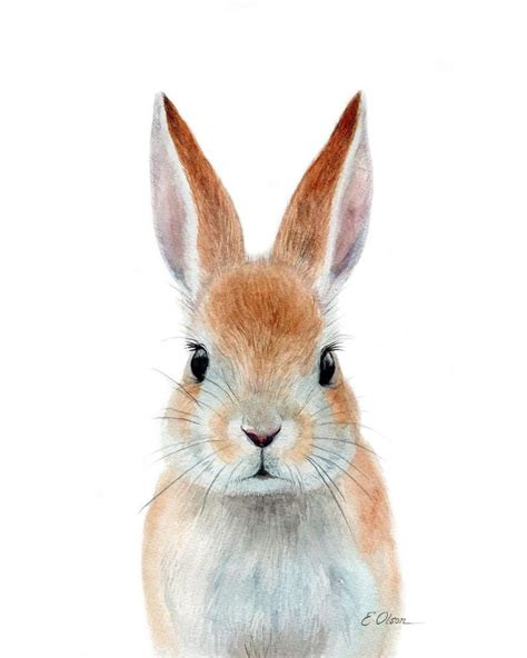 Watercolor Bunny Bunny Rabbit Art Print Printable Nursery Etsy In