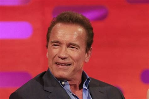 Arnold Schwarzenegger Drop Kicked In The Back During Event In South Africa