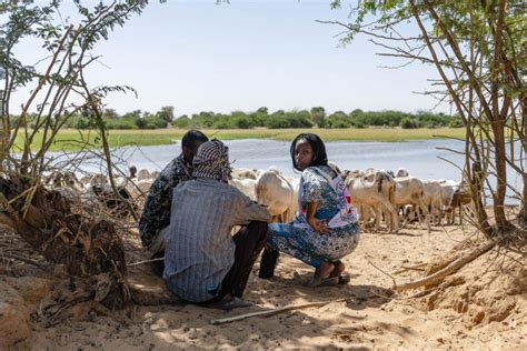 Mali Niger Climate Change And Conflict Make An Explosive Mix In The