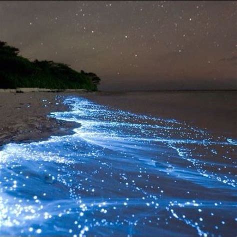 Vaadhoo Island Maldives Places To Travel To Sea Of Stars Travel