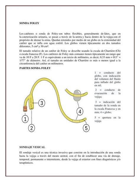 Sonda Foley Resúmenes De Medicina Salud Udocz