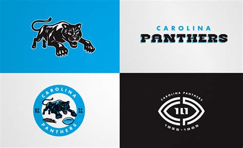 Carolina Panthers Hidden History On Behance