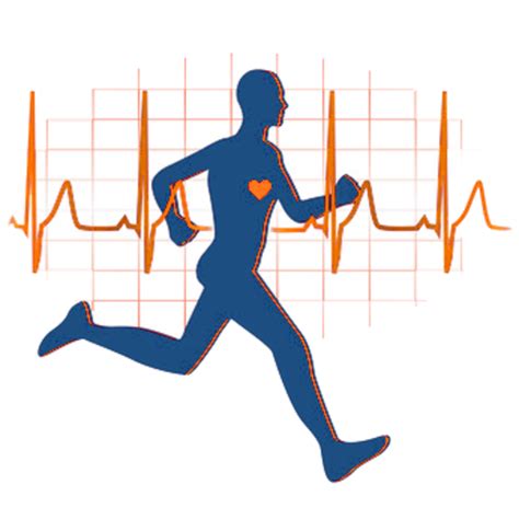 Aug 29, 2020 · along with greater strength and more defined muscles, a fitness goal worth striving for is greater cardiorespiratory endurance. Physically Active Lifestyle timeline | Timetoast timelines