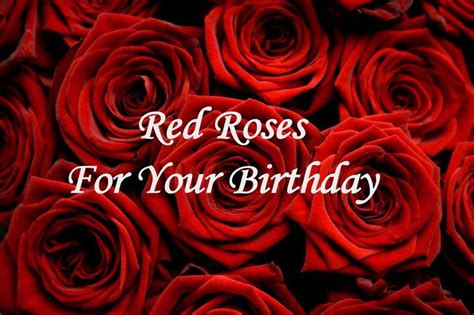 Red Roses For Your Birthday
