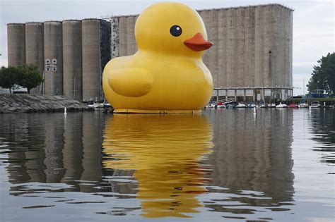 World's Largest Rubber Duck is now floating at Canalside ...