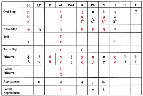 For this reason we teach this sound in a class all of its own separately from the other sounds, as understanding the schwa can unlock the way english pronunciation works for many learners. pulmonic consonants - English Language Photo (23087851 ...