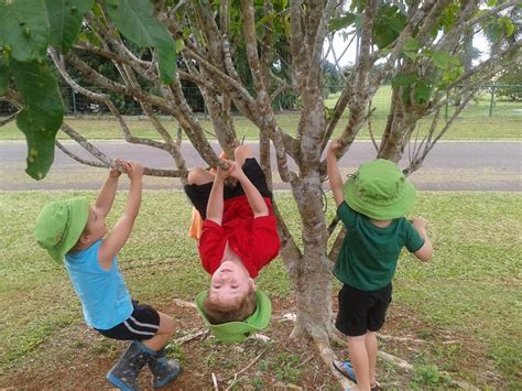 Nature Play In Early Years Education Nature Play Qld