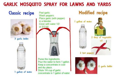 For your windows, no repellent will work. Homemade mosquito yard spray is cheap, effective and easy-to-do | Mosquito spray, Mosquito yard ...