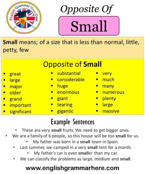 Opposite Of Small Antonyms Of Small Meaning And Example Sentences