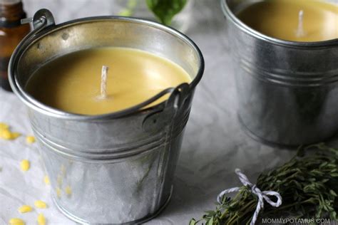 How To Make Citronella Candles Get Collagen Supplements South Africa