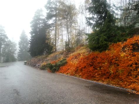 Incredible Fall Colors In Oslo Norway Travel Moments In
