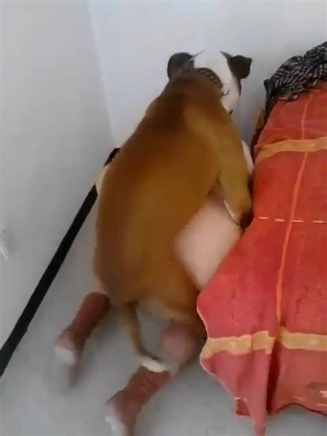 Wife Having Sex With Her Dog At Bedside