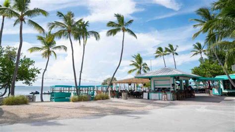 Top 12 Best Florida Keys Bars Swedbanknl