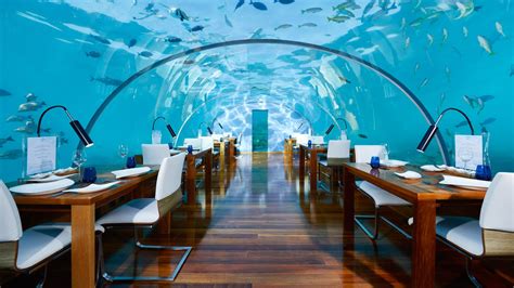 7 Of The Worlds Most Expensive Restaurants Lonely Planet