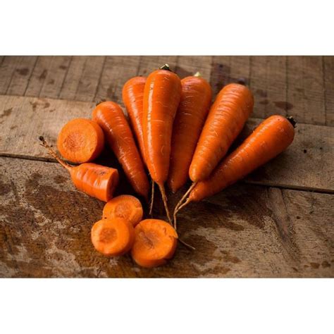 Red Cored Chantenay Carrot Heirloom 75 Days Pinetree Garden Seeds