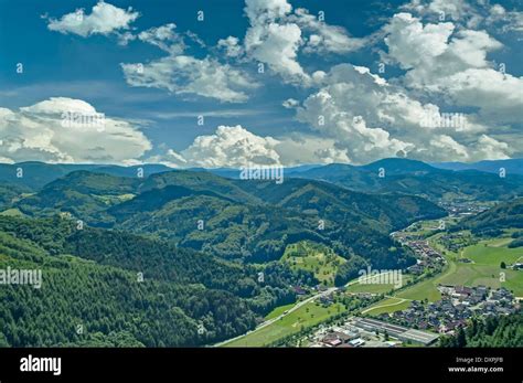 Black Forest Forest Fir Forest Mountain Germany Stock Photo Alamy
