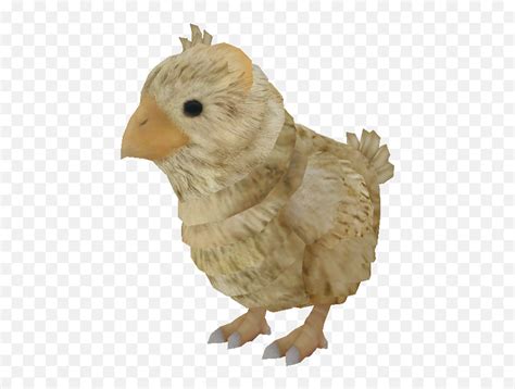Chocobo Choco Transparent Png Clipart Chocobo Chick Final Fantasy