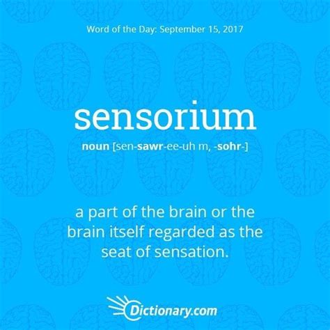 Sensorium Foreign Words Latin Words New Words Word Definitions