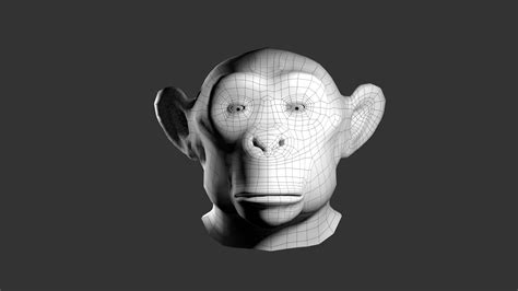 3d Monkey Head Model Turbosquid 1991649