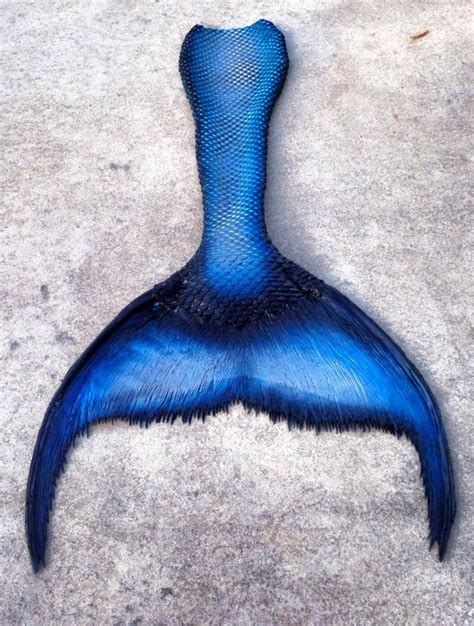 Mobile Uploads Mertailor Mermaid Tails By Eric Ducharme Caudas De