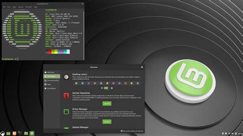 How To Make Linux Mint Bootable Usb Youtube