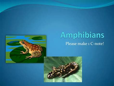 Ppt Amphibians Powerpoint Presentation Free Download Id 2868042