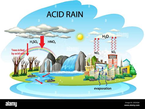 Diagram Showing Acid Rain Pathway On White Background Illustration