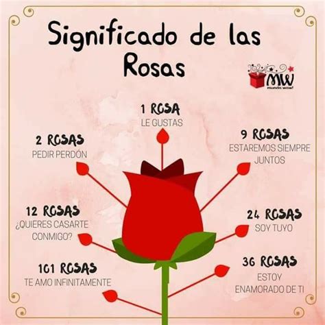 Significado De Las Rosas Significado De La Rosa Idioma De Las Flores Lenguaje De Las Flores