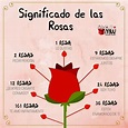 Significado de las rosas | Significado de la rosa, Idioma de las flores ...