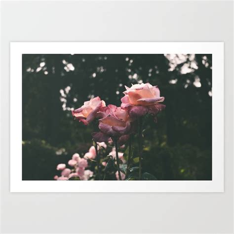 Buy Roses Art Print By Hannahkemp Worldwide Shipping Available At