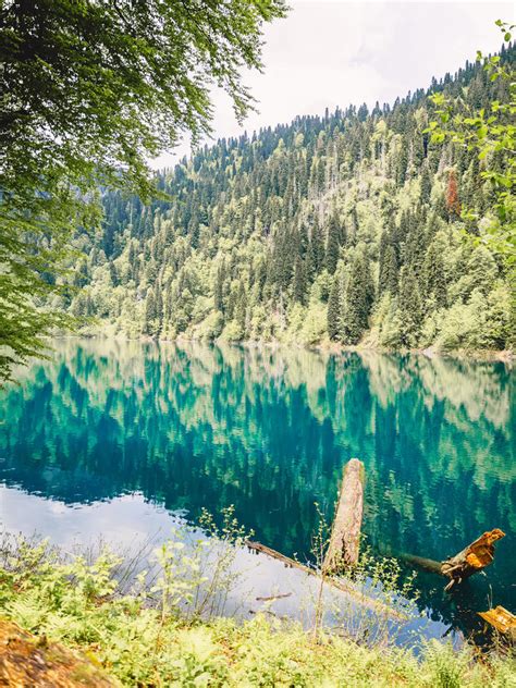 Beautiful Summer Mountain Lake View And Forest Stock Photo Image Of