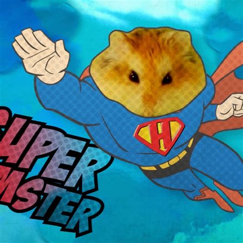 Super Hamster Domestika