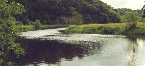 Barrow definition, a flat, rectangular frame used for carrying a load, especially such a frame with projecting shafts at each end for handles; River Barrow | Village of the Monks