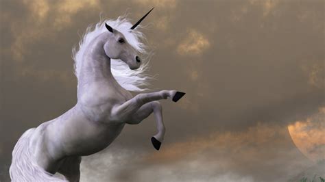 Being a unicorn isn't about being real, it's about being real awesome. 10 Dazzling Rare Qualities of a Unicorn Marketer | Inc.com