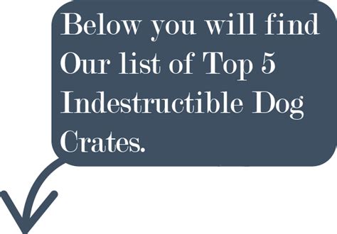 Top 5 Indestructible Dog Crates 2021 | Heavy Duty, Escape Proof Crates