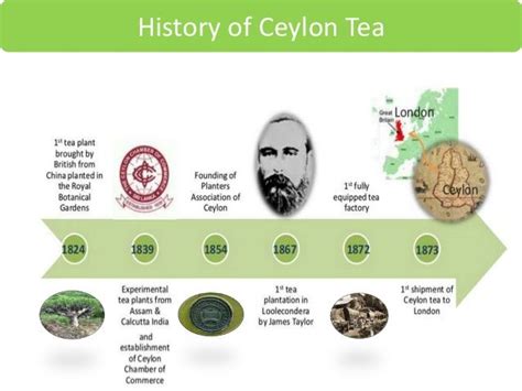 Timeline Of Ceylon Tea History Click Here For A Slide Show About Sri