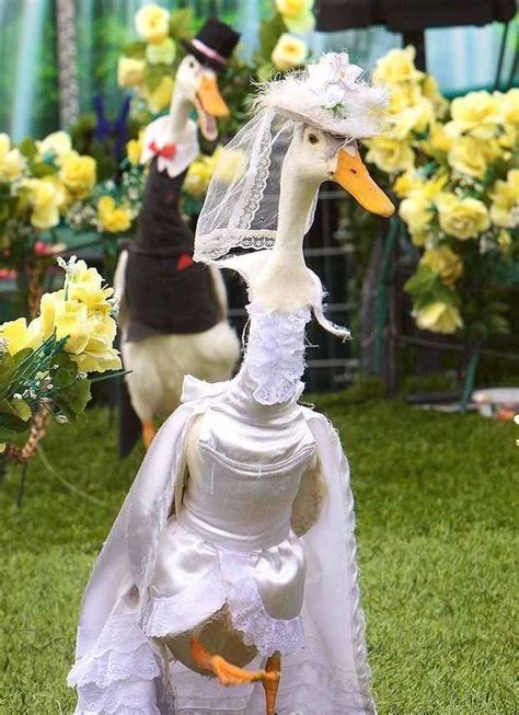 11 Fashionable Ducks Strutting The Runway In Couture Duck Dress