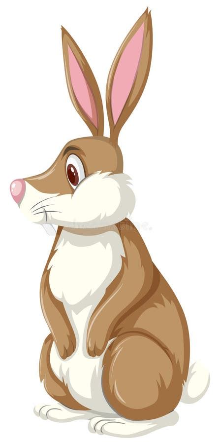 Cute Brown Rabbit Sitting Stock Vector Illustration Of Design 126756109