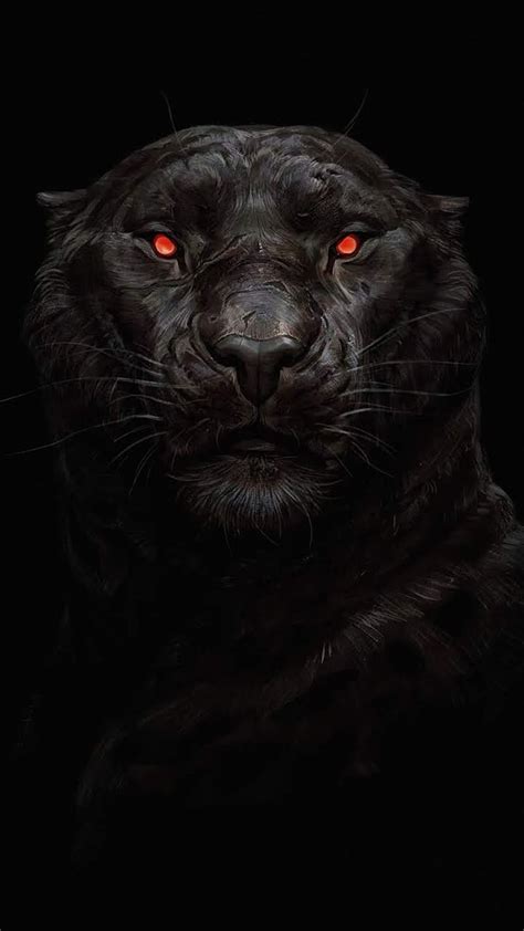 720p Free Download Black Tiger Theme With Red Eyes Black Tiger