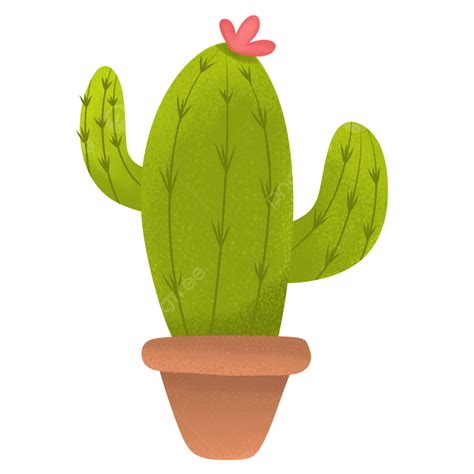 Lindo Cactus Png Png Cactus Dibujos Animados Verde Png Y Psd Para