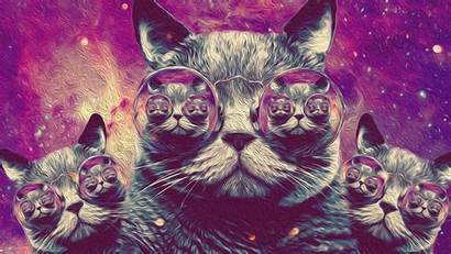Cat Trippy Space Hipster Cats Psychedelic Wallpapers