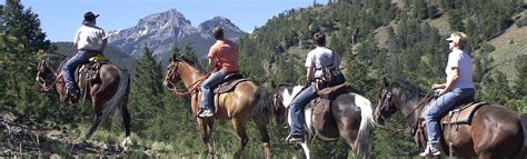 Horseback Trail Rides Cody Yellowstone