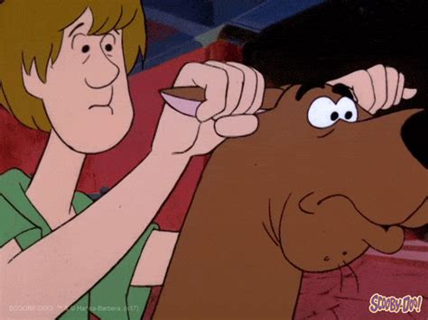 James Gunn Habla Del Guion De La Cancelada Scooby Doo 3 Paloma And Nacho