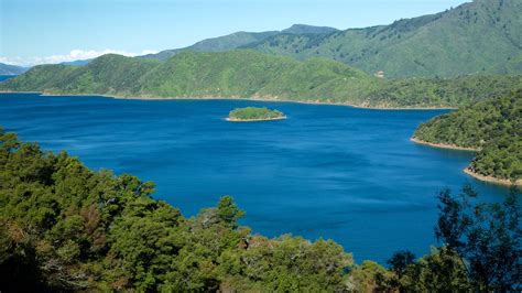 Visit Queen Charlotte Sound Best Of Queen Charlotte Sound Tourism