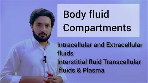 body fluid compartments ecf and icf explained by abdul waheed in urdu hindi youtube